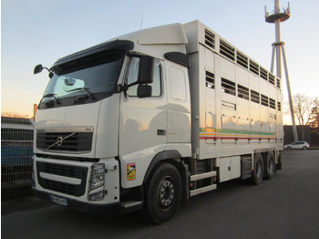 Gyvulių pervežimo sunkvežimis VOLVO FH 460