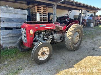 Traktorius MASSEY FERGUSON