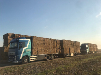 Sunkvežimis su kranu Volvo FH460, HMF 1244 Skip loading platform: foto 5