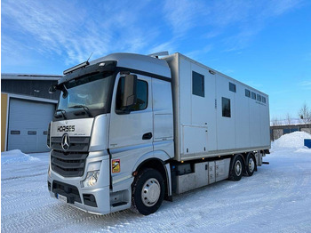 Gyvulių pervežimo sunkvežimis MERCEDES-BENZ Actros