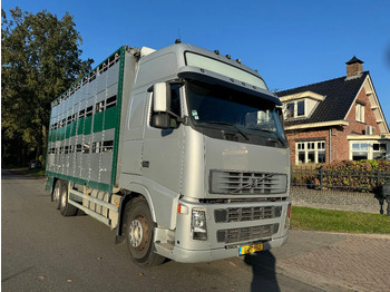 Gyvulių pervežimo sunkvežimis VOLVO FH12 500