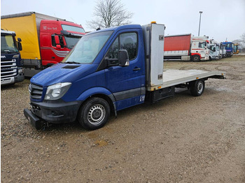 Krovininis mikroautobusas MERCEDES-BENZ Sprinter 319